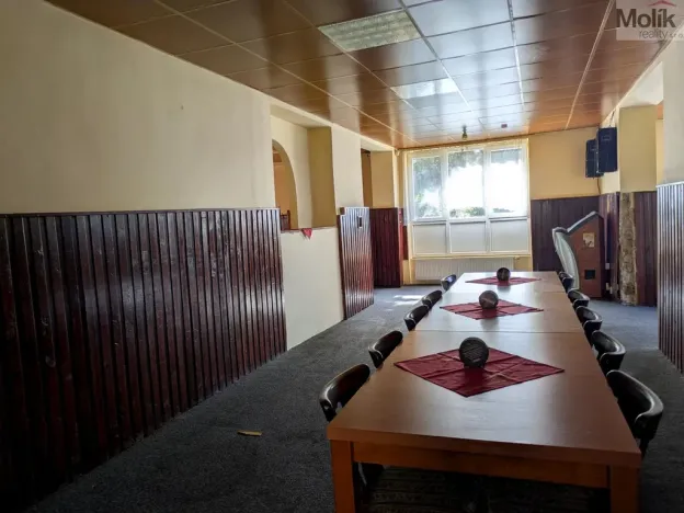 Prodej komerční nemovitosti, Litvínov - Horní Litvínov, Alešova, 506 m2