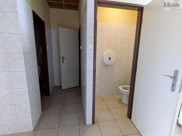 Prodej komerční nemovitosti, Litvínov - Horní Litvínov, Alešova, 506 m2
