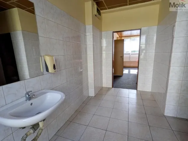 Prodej komerční nemovitosti, Litvínov - Horní Litvínov, Alešova, 506 m2