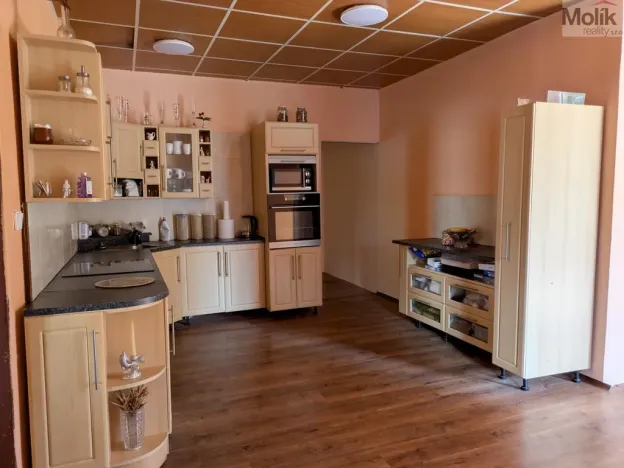 Prodej komerční nemovitosti, Litvínov - Horní Litvínov, Alešova, 506 m2