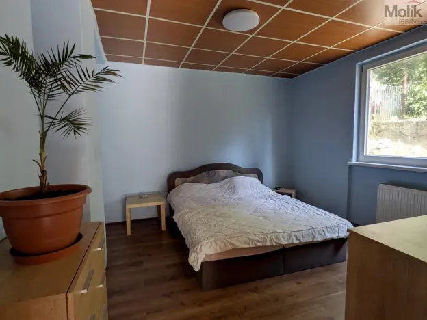 Prodej komerční nemovitosti, Litvínov - Horní Litvínov, Alešova, 506 m2