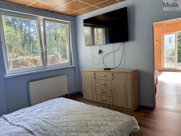 Prodej komerční nemovitosti, Litvínov - Horní Litvínov, Alešova, 506 m2