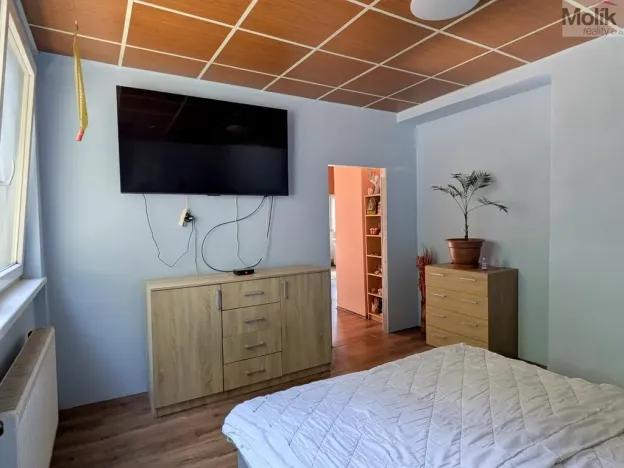 Prodej komerční nemovitosti, Litvínov - Horní Litvínov, Alešova, 506 m2