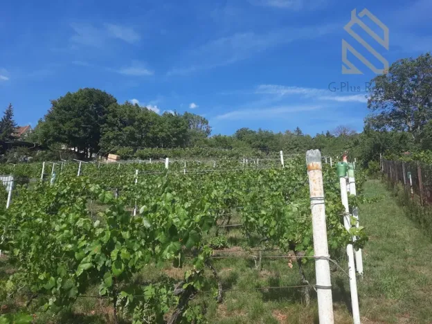 Prodej rodinného domu, Velké Žernoseky, 235 m2
