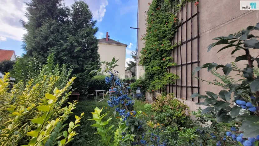 Prodej bytu 1+1, Kolín - Kolín IV, Havlíčkova, 49 m2