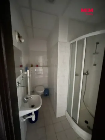 Prodej rodinného domu, Zásada, 600 m2