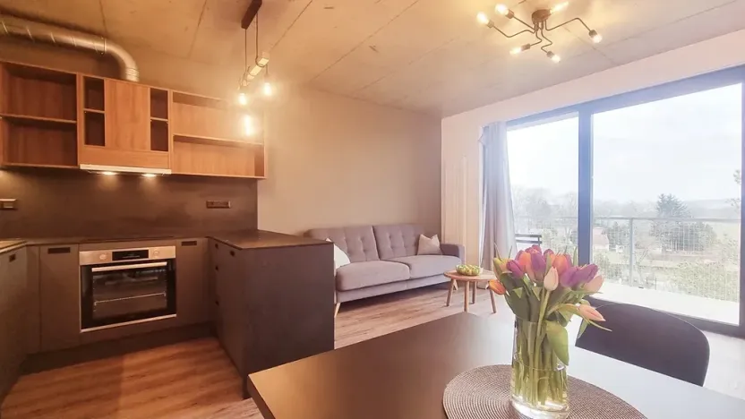 Pronájem bytu 2+kk, Brno, V rejích, 49 m2