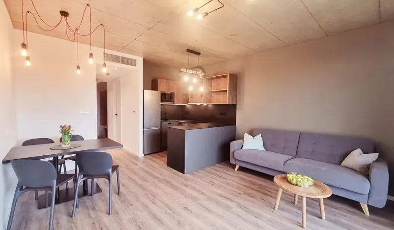 Pronájem bytu 2+kk, Brno, V rejích, 49 m2
