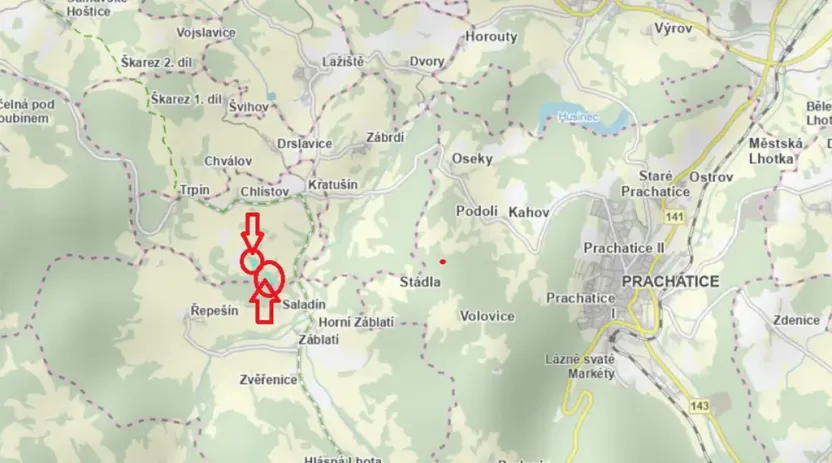 Prodej lesa, Kratušín, 6930 m2