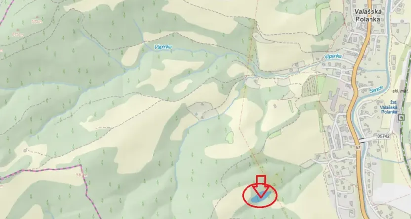 Prodej lesa, Valašská Polanka, 2904 m2