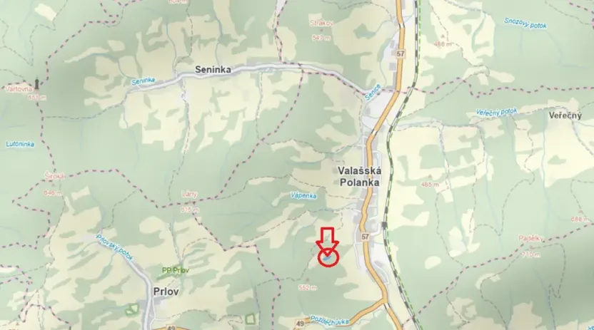 Prodej lesa, Valašská Polanka, 2904 m2
