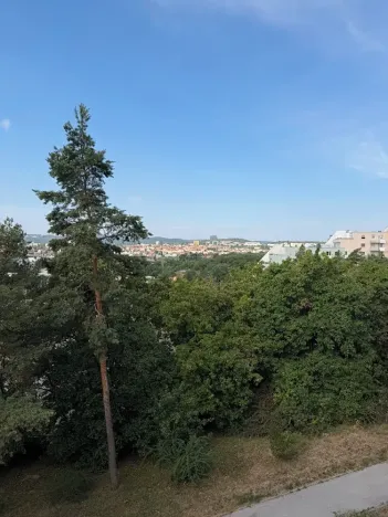 Pronájem bytu 3+1, Brno, Brožíkova, 72 m2