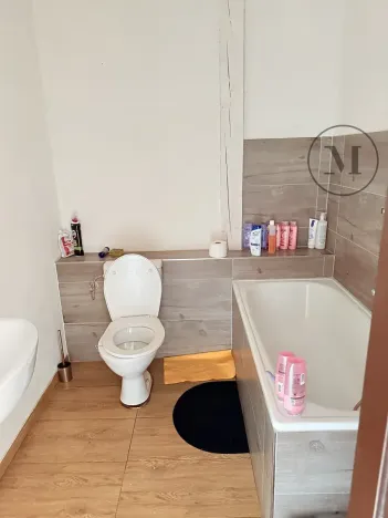 Pronájem bytu 1+kk, Netolice, Mírové Náměstí, 21 m2
