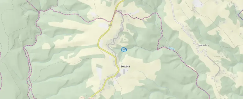 Prodej lesa, Strážná, 589 m2