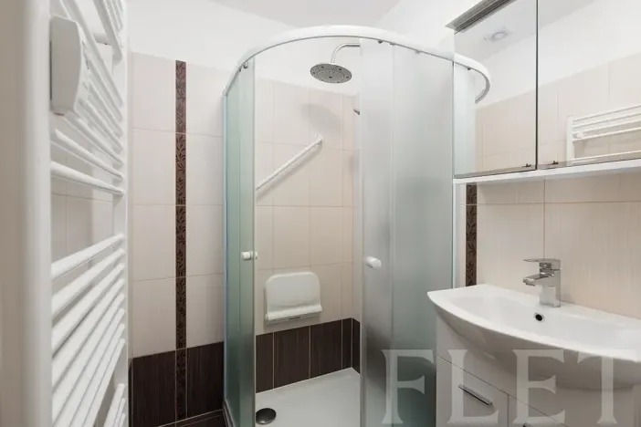 Prodej bytu 2+1, Praha - Žižkov, Loudova, 61 m2