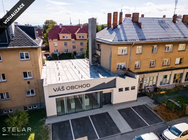 Prodej obchodního prostoru, Opava, 230 m2