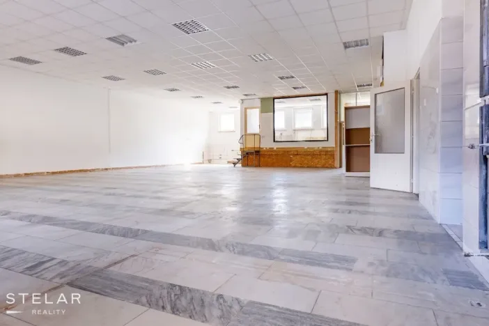 Prodej obchodního prostoru, Opava, 230 m2