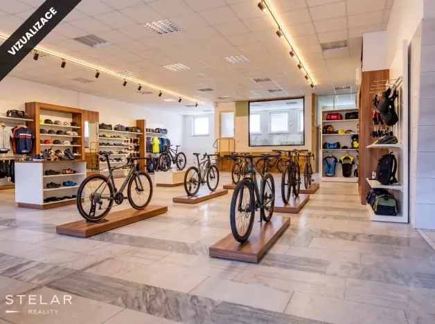 Prodej obchodního prostoru, Opava, 230 m2