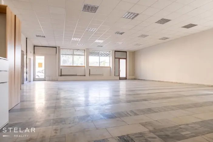 Prodej obchodního prostoru, Opava, 230 m2