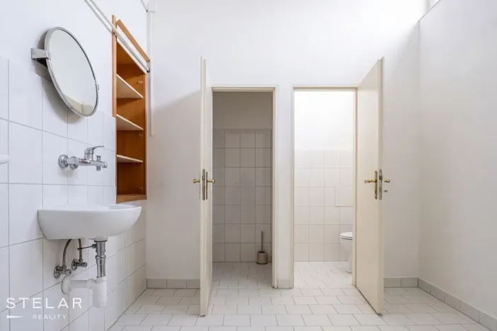 Prodej obchodního prostoru, Opava, 230 m2