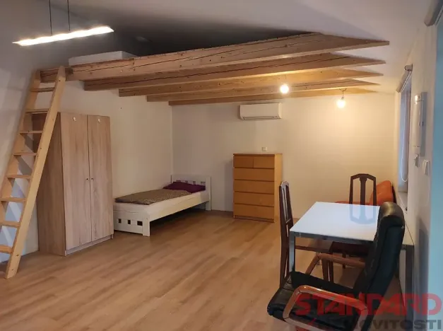 Pronájem bytu 1+kk, Plzeň, Bohuslava Martinů, 40 m2