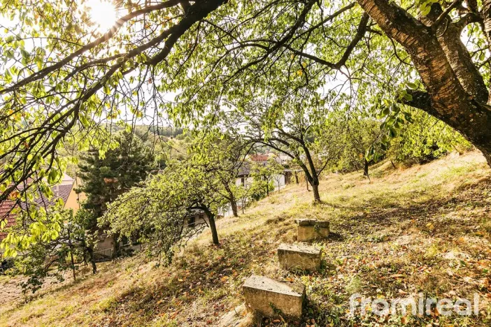 Prodej rodinného domu, Olšany, 133 m2
