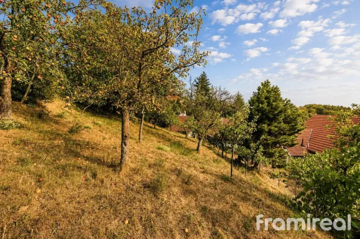 Prodej rodinného domu, Olšany, 133 m2