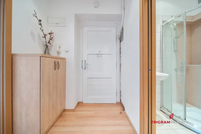 Prodej bytu 2+kk, Hradec Králové - Pražské Předměstí, Horova, 48 m2