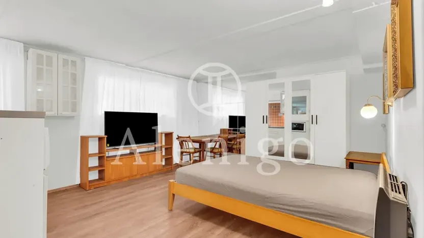 Prodej bytu 1+kk, Praha - Motol, Kudrnova, 25 m2