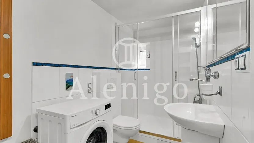 Prodej bytu 1+kk, Praha - Motol, Kudrnova, 25 m2