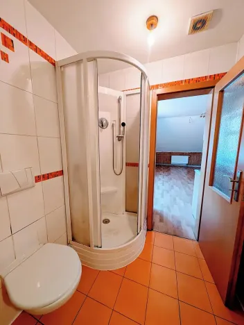 Prodej bytu 1+1, Plavy, 64 m2