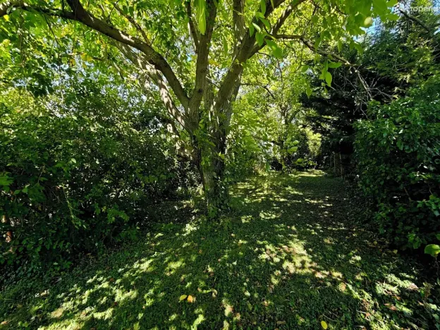 Prodej rodinného domu, Pavlovice u Přerova, 130 m2