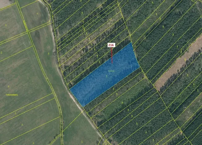 Dražba lesa, Komárov, 12481 m2