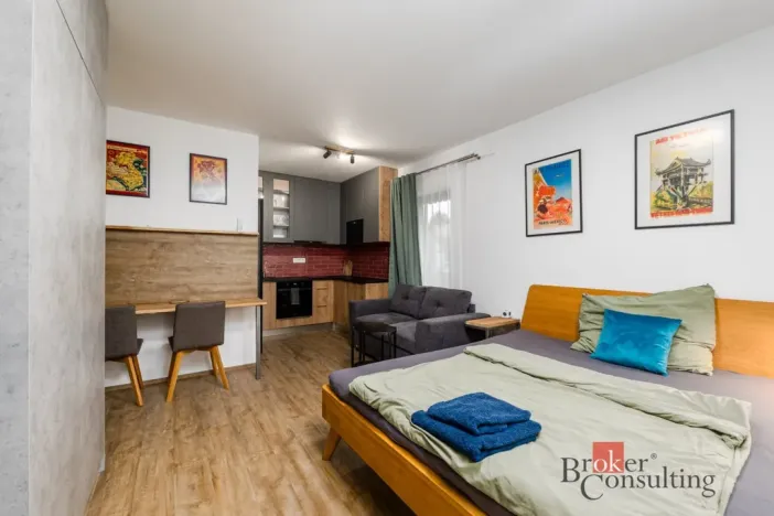 Prodej bytu 2+kk, Plzeň - Východní Předměstí, Kartónová, 56 m2