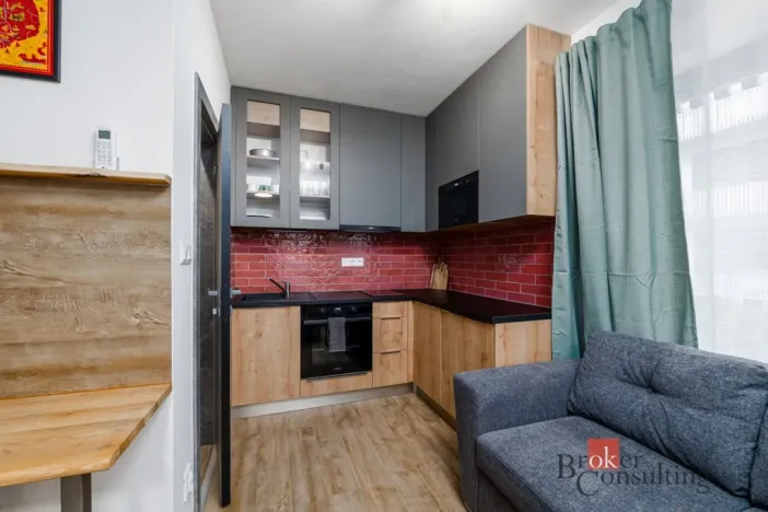 Prodej bytu 2+kk, Plzeň - Východní Předměstí, Kartónová, 56 m2