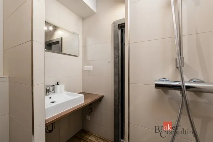 Prodej bytu 2+kk, Plzeň - Východní Předměstí, Kartónová, 56 m2