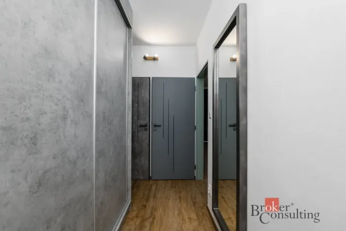 Prodej bytu 2+kk, Plzeň - Východní Předměstí, Kartónová, 56 m2