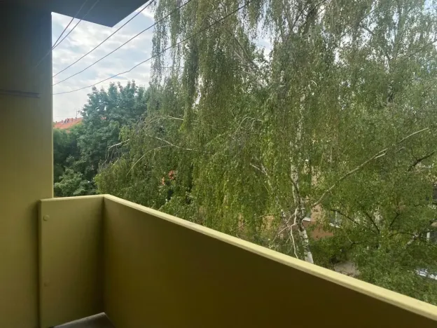Prodej bytu 2+1, Mikulov, St. Živného, 61 m2