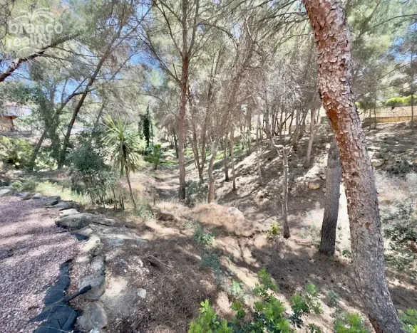 Prodej rodinného domu, Algorfa - La Finca Golf, Alicante, Španělsko, 320 m2