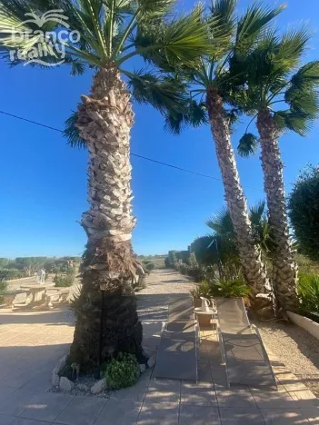 Prodej rodinného domu, Dolores, Alicante, Španělsko, 180 m2