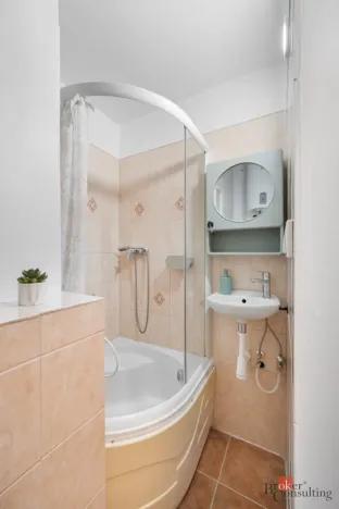 Prodej bytu 1+kk, Brno - Staré Brno, Náplavka, 18 m2