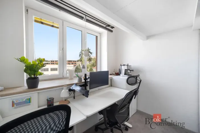 Prodej bytu 1+kk, Brno - Staré Brno, Náplavka, 18 m2