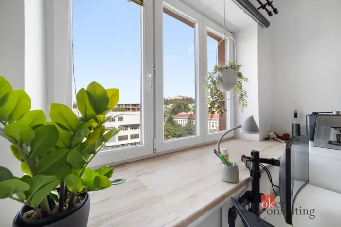 Prodej bytu 1+kk, Brno - Staré Brno, Náplavka, 18 m2