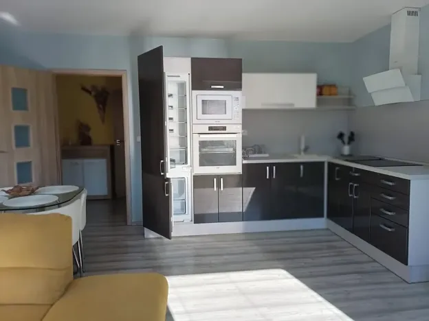 Prodej bytu 2+kk, Teplice, Bohosudovská, 47 m2