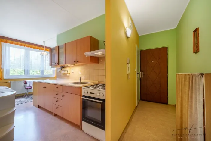 Prodej bytu 2+1, Cheb, Matěje Kopeckého, 60 m2