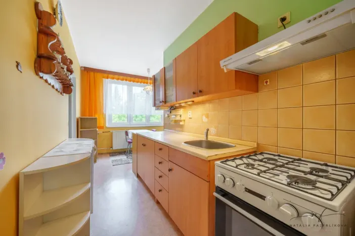 Prodej bytu 2+1, Cheb, Matěje Kopeckého, 60 m2