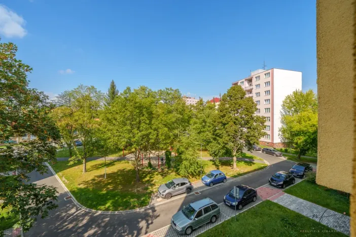 Prodej bytu 2+1, Cheb, Matěje Kopeckého, 60 m2