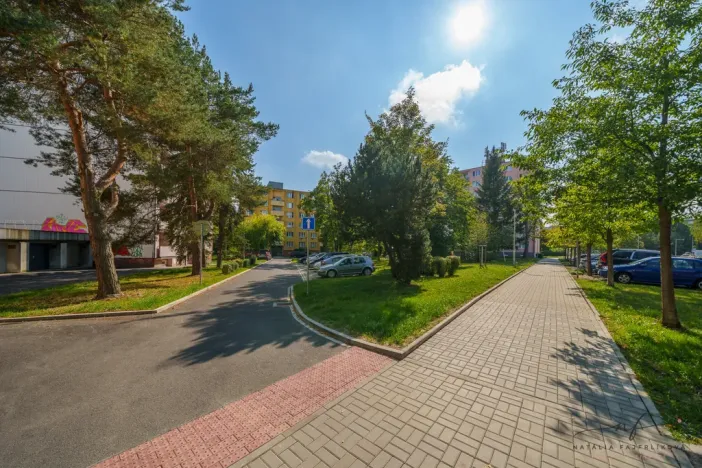 Prodej bytu 2+1, Cheb, Matěje Kopeckého, 60 m2