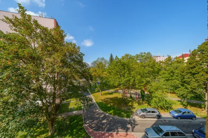 Prodej bytu 2+1, Cheb, Matěje Kopeckého, 60 m2