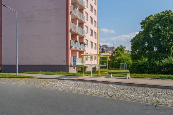 Prodej bytu 2+1, Cheb, Matěje Kopeckého, 60 m2